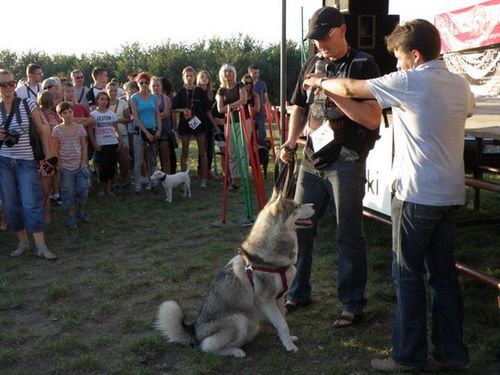 Dumni ze swoich zwierzaków - fotorelacja