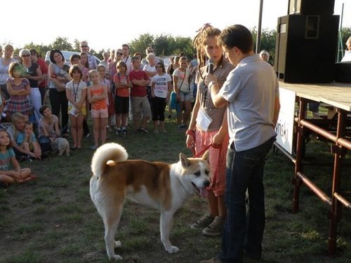 Dumni ze swoich zwierzaków - fotorelacja