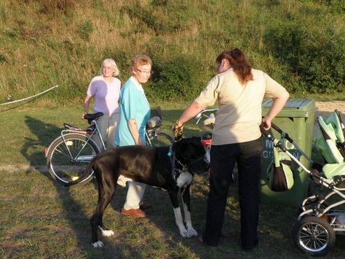Dumni ze swoich zwierzaków - fotorelacja