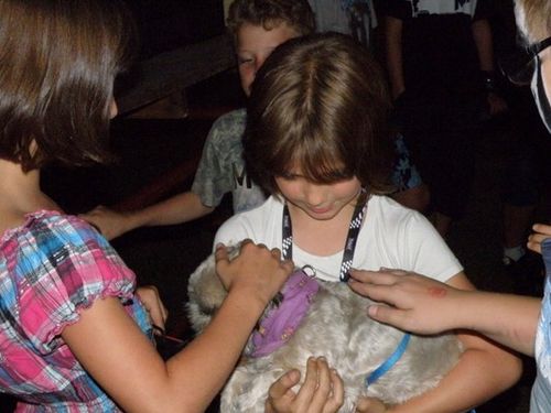 Dumni ze swoich zwierzaków - fotorelacja