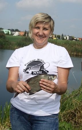 Netbox na Porąbce  - zdjęcia