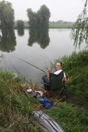 Netbox na Porąbce  - zdjęcia