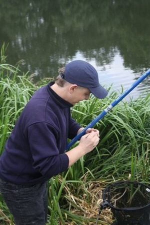 Netbox na Porąbce  - zdjęcia