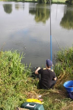 Netbox na Porąbce  - zdjęcia