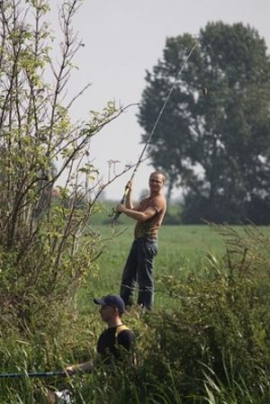 Netbox na Porąbce  - zdjęcia