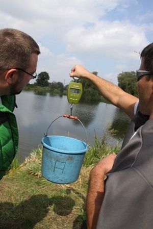 Netbox na Porąbce  - zdjęcia
