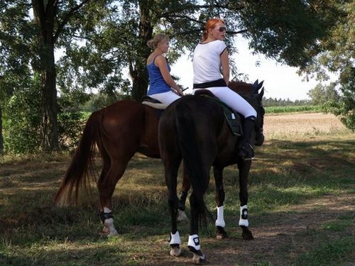 Skakali o Puchar Burmistrza - zdjęcia