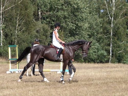 Skakali o Puchar Burmistrza - zdjęcia