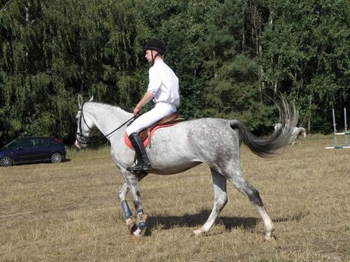 Skakali o Puchar Burmistrza - zdjęcia