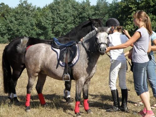 Skakali o Puchar Burmistrza - zdjęcia