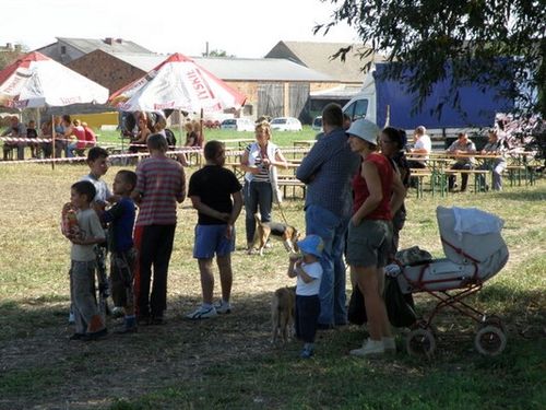 Skakali o Puchar Burmistrza - zdjęcia