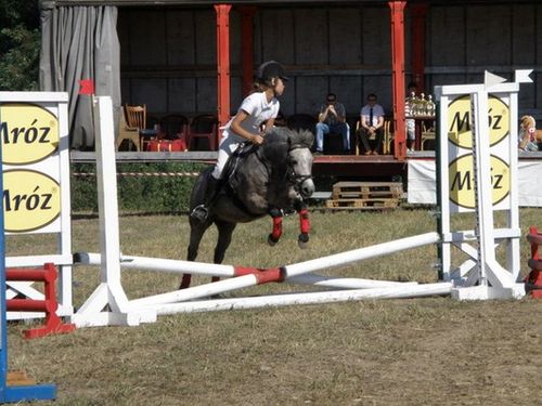 Skakali o Puchar Burmistrza - zdjęcia