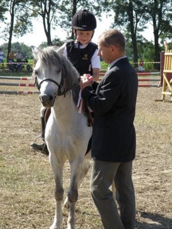 Skakali o Puchar Burmistrza - zdjęcia