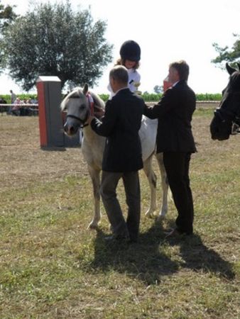 Skakali o Puchar Burmistrza - zdjęcia