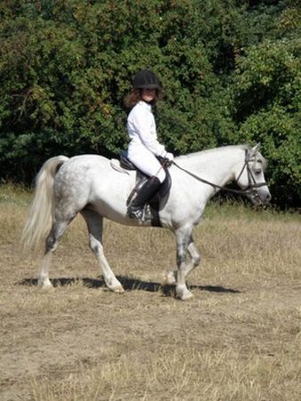 Skakali o Puchar Burmistrza - zdjęcia