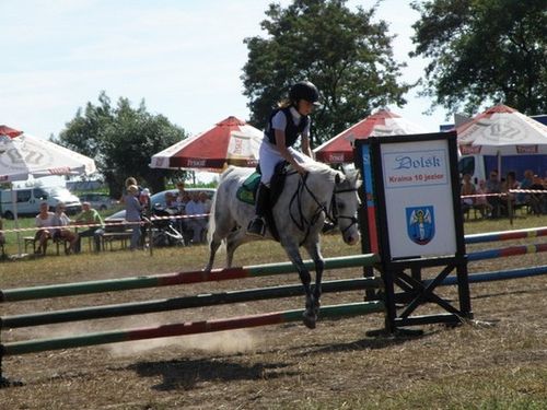 Skakali o Puchar Burmistrza - zdjęcia