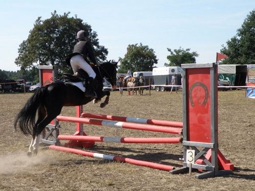 Skakali o Puchar Burmistrza - zdjęcia