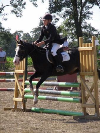 Skakali o Puchar Burmistrza - zdjęcia