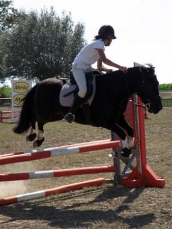 Skakali o Puchar Burmistrza - zdjęcia