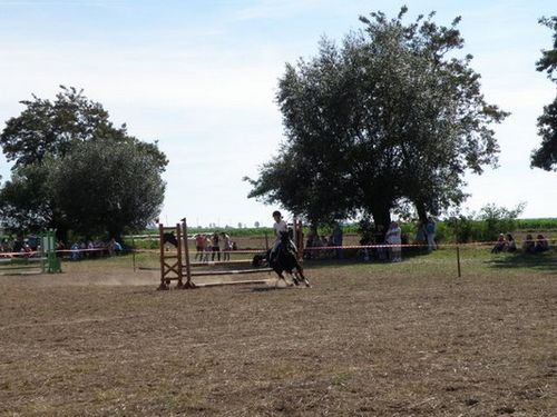 Skakali o Puchar Burmistrza - zdjęcia