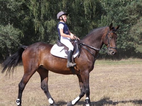 Skakali o Puchar Burmistrza - zdjęcia