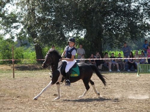 Skakali o Puchar Burmistrza - zdjęcia