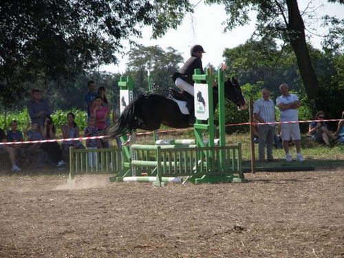 Skakali o Puchar Burmistrza - zdjęcia