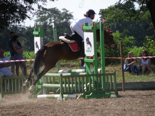 Skakali o Puchar Burmistrza - zdjęcia