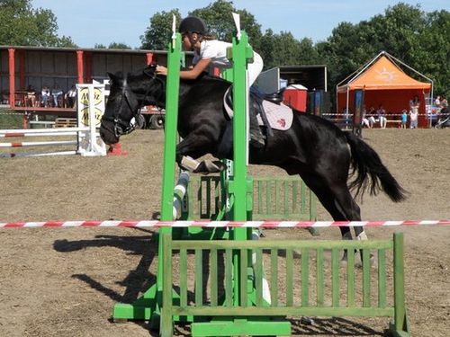 Skakali o Puchar Burmistrza - zdjęcia