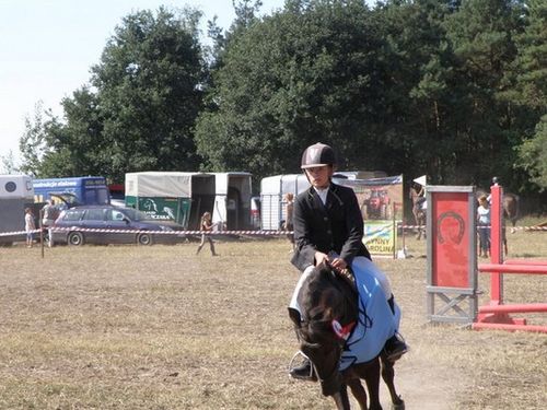 Skakali o Puchar Burmistrza - zdjęcia