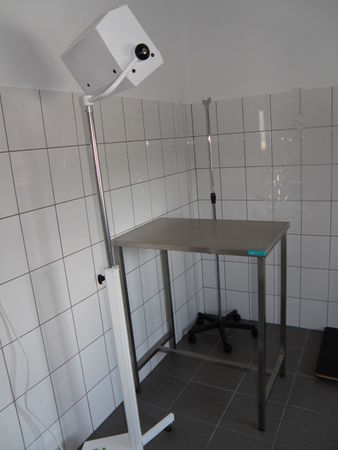 Na europejskim poziomie - zdjęcia