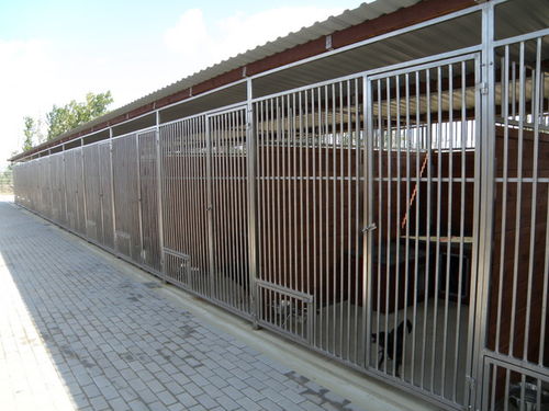 Na europejskim poziomie - zdjęcia