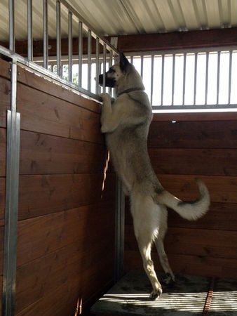 Na europejskim poziomie - zdjęcia