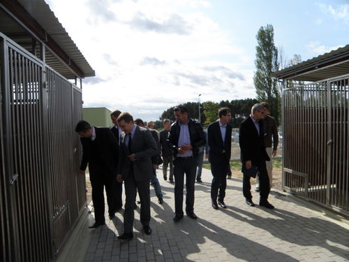 Na europejskim poziomie - zdjęcia