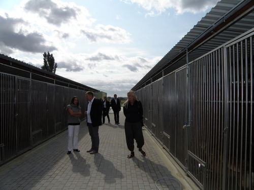 Na europejskim poziomie - zdjęcia