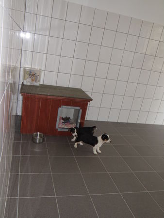 Na europejskim poziomie - zdjęcia