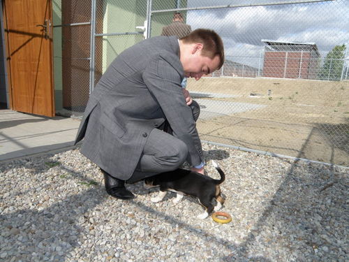 Na europejskim poziomie - zdjęcia