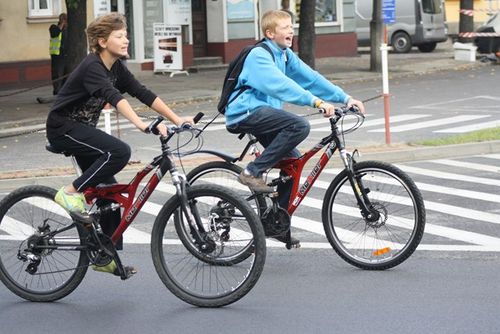 Większość wybrała samochód - zdjęcia