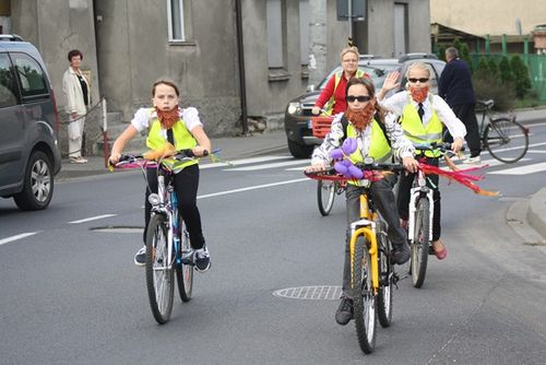 Większość wybrała samochód - zdjęcia
