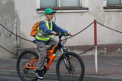 Większość wybrała samochód - zdjęcia