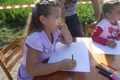 Festyn pełen radości i smaku - galeria