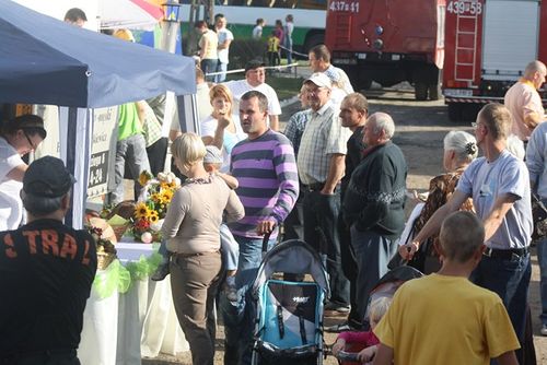 Festyn pełen radości i smaku - galeria