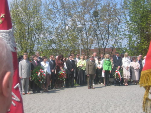 Witaj, majowa jutrzenko (galeria)