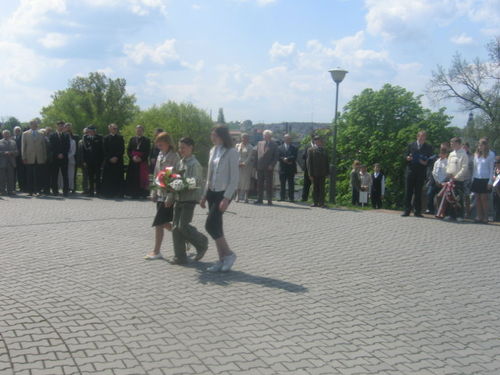 Witaj, majowa jutrzenko (galeria)