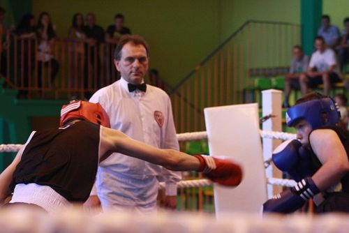Bokserzy zachwycili Gostyń - fotorelacja