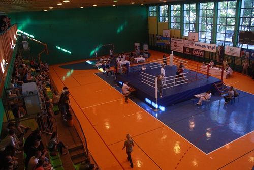 Bokserzy zachwycili Gostyń - fotorelacja