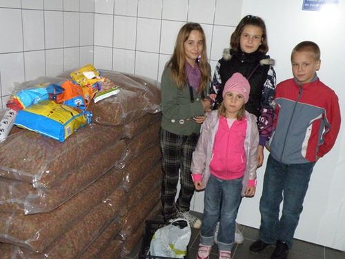Pierwsi goście odwiedzili schronisko - zdjęcia