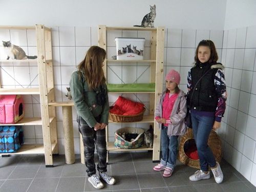 Pierwsi goście odwiedzili schronisko - zdjęcia