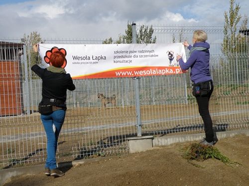 Pierwsi goście odwiedzili schronisko - zdjęcia