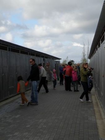 Pierwsi goście odwiedzili schronisko - zdjęcia